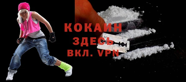 прущий лед Анива