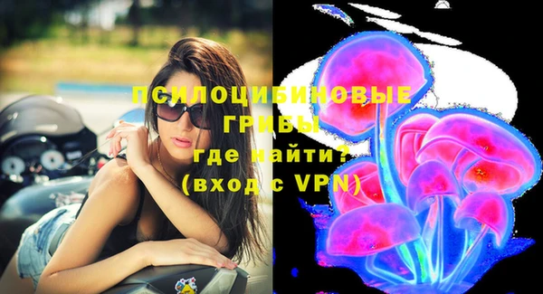 первитин Балахна